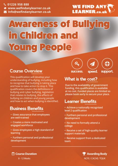 Awareness of Bullying in Children and Young People Level 2 | We Find ...